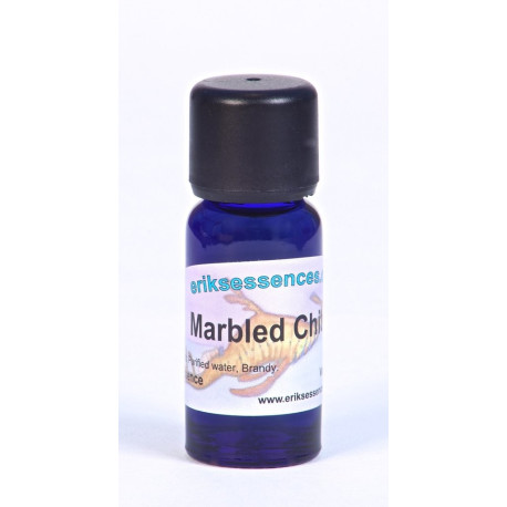 Marbled Chiton - Pale Indigo - 15ml
