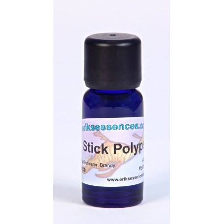 Stick Polyps - Warm Olive - 15ml