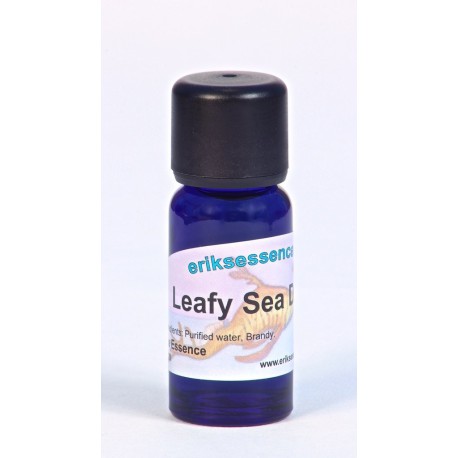 Leafy Sea Dragon - Deep Pinkish Violet - 15ml