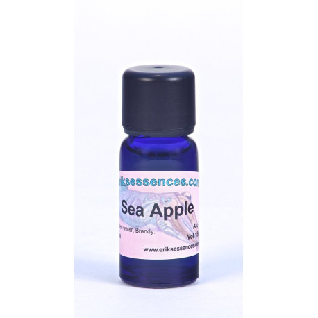 Sea Apple - Pale Turquoise - 15ml
