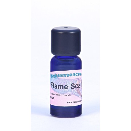 Flame Scallop - Orangey Red - 15ml