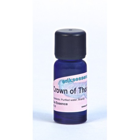 Crown of Thorns Starfish - Violet - 15ml