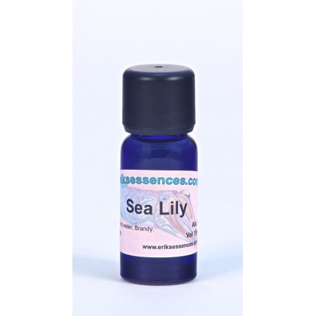 Sea Lily - Lilac - 15ml