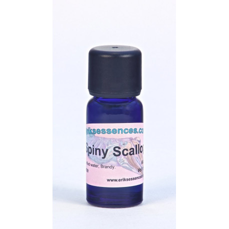 Spiny Scallop - Purple - 15ml