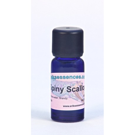 Spiny Scallop - Purple - 15ml