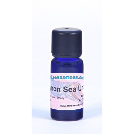Common Sea Urchin - Warm Olive Green - 15ml
