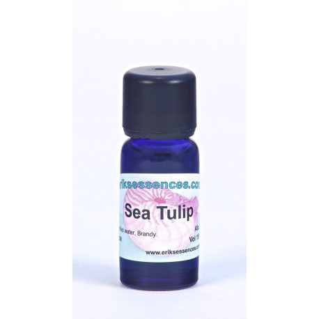 Sea Tulip - Bluish Turquoise - 15ml