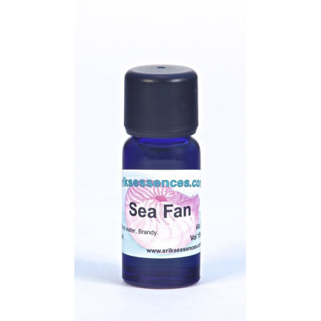 Sea Fan - Coral - 15ml