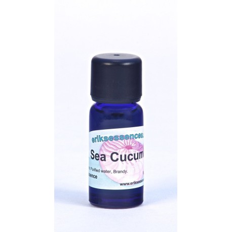 Sea Cucumber - White Pink - 15ml